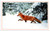 National Geographic red fox walking in snowy winter forest postcard