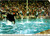kandu killer whale performing with dolphins marineland niagara falls postcard