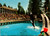 Skana killer whale performing Vancouver Public Aquarium Stanley Park postcard