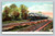 Chicago steam train antique postcard passenger locomotive