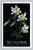 Vintage postcard of the Columbine flower, Colorado's state flower