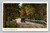 Vintage postcard scene near Camptown Pennsylvania showing automobile on country road with white rail fence and trees
