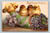 Best Easter Wishes antique postcard from Lynn by International Art Publ. Co