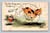 Handwritten antique postcard with one cent stamp sent to Wrightsville Beach