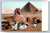 Antique postcard showing Pyramid and Sphynx by Carte postale Universelle