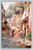 Clovelly High Street with fishermen's houses on steep cliff slopes postcard