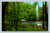 Lake fountain and swan in Busch Woodlands and Museum Cooperstown New York postcard