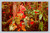 Display of Hawaii's fruits and vegetables in a lush rainforest with anthurium and tree ferns