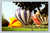 Rochester Michigan Balloon Capital of the World postcard by Nelson Photography