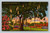 The Sausage Tree (Kigellia Pinatta) Native of Africa at Parrot Jungle Miami Florida postcard