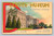 Denver Museum of Natural History postcard showing Denver's Municipal Museum in City Park