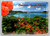 Charlotte Amalie Harbor St. Thomas U.S. Virgin Islands postcard