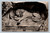 Löwendenkmal Lion Monument in Luzern Switzerland postcard by Th. Rietschi