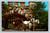 Carriage ride at East Porte-Cochere Mohonk Mountain House New Paltz NY postcard