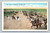1889 Opening of Oklahoma Land Run scene postcard by E. C. Kropp Co.