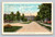 Elms Boulevard in Excelsior Springs Missouri National Health Resort 1924 postcard
