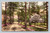 Vermont Avenue street scene in Southern Pines North Carolina postcard by EDDY'S STUDIO