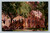 Campion Hall and Joyce Kilmer Library at Campion High School Prairie du Chien Wisconsin postcard