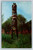 Hand carved totem pole in a field of Alaska Fireweed