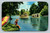 Scene on Silver River at Florida's Silver Springs with Jungle Cruise and glass bottom boats