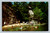 Lake beach at Mohonk Mountain House New Paltz NY Curteichcolor postcard
