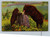 Bears in the Rockies illustrating learning table manners postcard