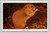 Prairie dog at National Zoological Park Washington DC postcard