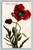 Hearty Greetings postcard red poppies