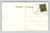 1908 Best Wishes Floral Postcard Roses Violets Basket Belmont Iowa