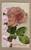 Antique Birthday Greetings postcard with silk ribbon rose decoration and glitter embellishment