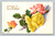 Vintage birthday greeting postcard from U.S.A.