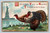 Thanksgiving greeting postcard with one cent stamp and U.S. postmark dated November 24