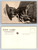 Salvation Army WWI Postcard Lot 16 Doughnut Girls France Slum Work
