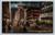 State Street North from Adams Street Chicago night retail shopping district