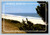 Delaware Seashore scenic view postcard from Lewes, USA