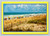Greetings from Myrtle Beach South Carolina postcard