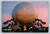 Spaceship Earth geosphere ride at EPCOT Walt Disney World Florida postcard