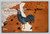 Delaware state overview with state bird, flower, population, and beaches