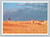 Pronghorn Antelope in Badlands Black Hills South Dakota