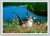 The Western Jackalope in its natural habitat near Wall South Dakota
