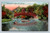 Wooded Island in Jackson Park Chicago vintage postcard