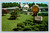 Quality Inn motel building and amenities in Williamsburg Virginia postcard