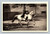 Spanische Reitschule Spanish Riding School in Wien Austria vintage postcard