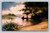 Rural scene with crops and hay cutting at Central Square Park Rapids postcard