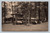 People having lunch in a grove at Sylvan Beach New York vintage postcard