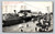 South Haven Docks and Palm Garden postcard by C. M. Erard