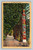Totem Poles in Sitka Alaska postcard by Northwest Magazine Distributing Co.