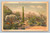 Desert flora of the Southwest postcard by Cureteich & Co.