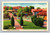 Arizona Inn building in Tucson Arizona postcard by Curteich & Co.