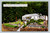 Yard at Eaglemount Motel and Service Station Olympic Peninsula Washington